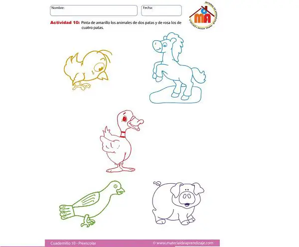 Animales como actividades para niños de preescolar 2