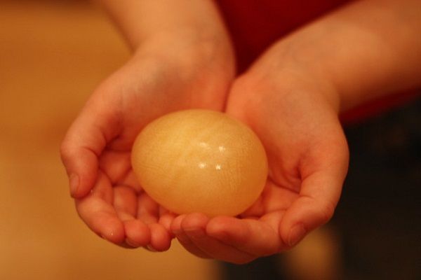 El experimento del huevo como actividades de ciencias para preescolar